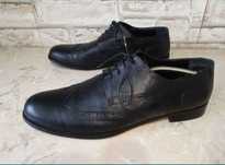 Pantofi eleganți nr 48-49