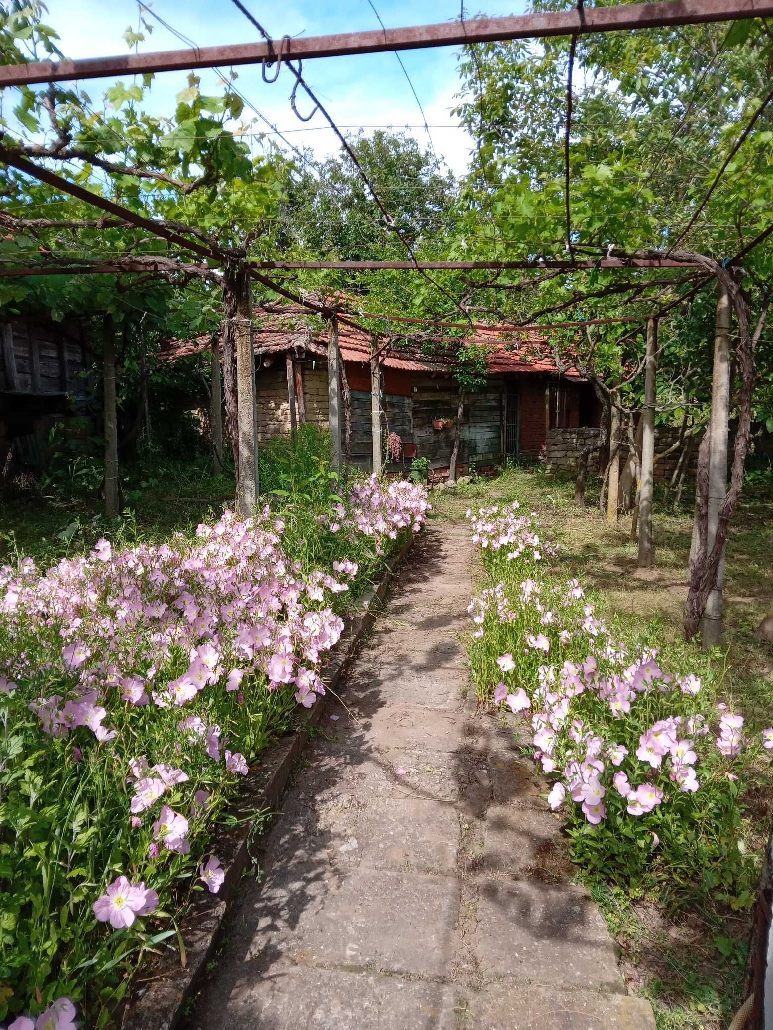 Къща в село Бероново