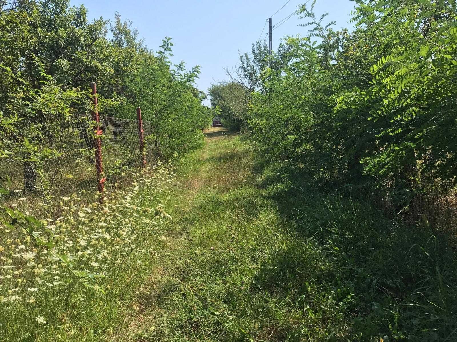 Teren 5600 mp - Paduroiu, Poiana Lacului