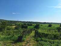 Proprietate Barnova, 400m dupa manastire, 3610mp intravilan!