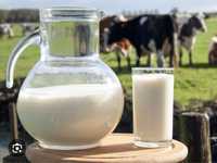 Домашнее молоко оптом Алматы