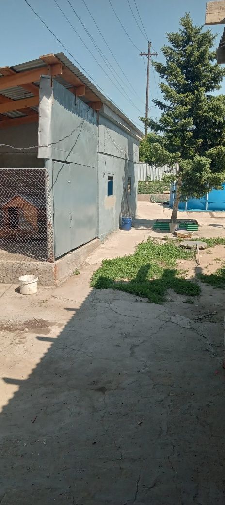 Продам дом на земле