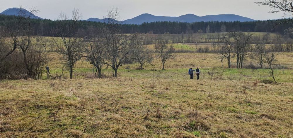 Teren Intravilan plus teren agricol în Hărțăgani peisaj frumos