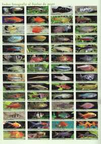 Super carte despre acvaristica si pestii exotici de acvariu