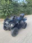 Kawasaki BruteForce 300