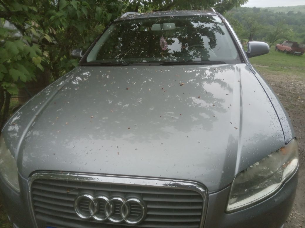 Vand Audi a4 b7 1.9d