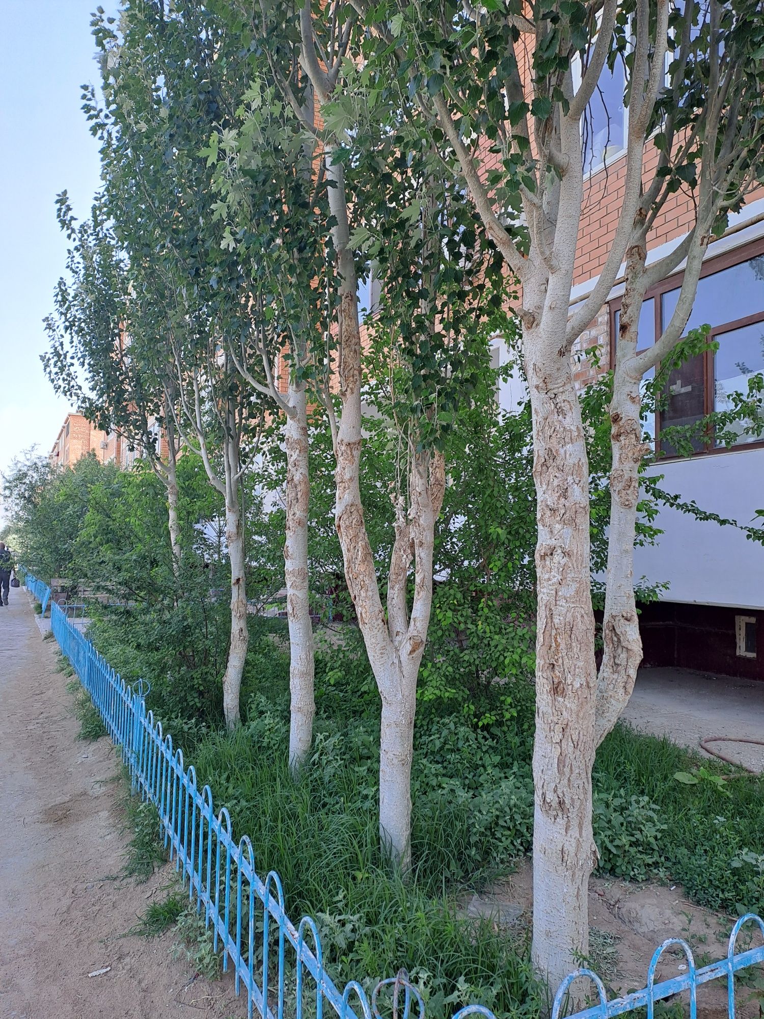 С.Бейбарыс 3 комн.кв.19 млн 500 мың