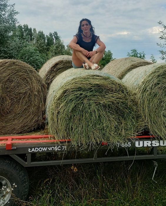 Vând baloți de lucernă sau dau la schimb