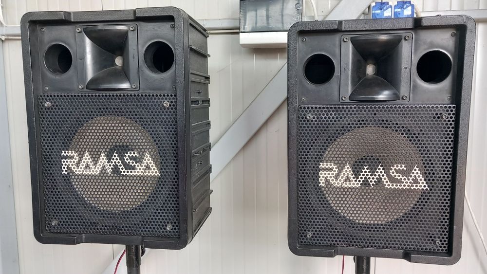 Boxe profesionale 12 inch Panasonic Ramsa WS-A200E