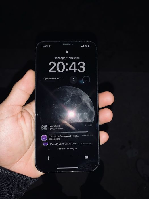 iPhone 12 pro max