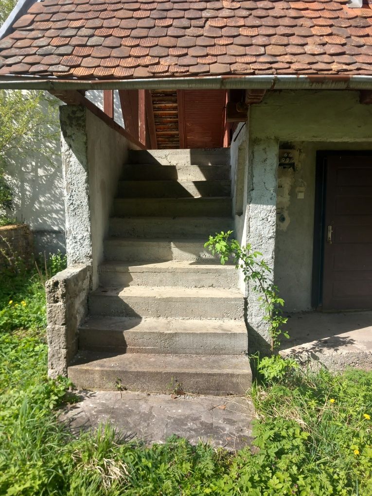 Casa lângă tabăra Moneasa