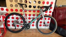 Cursiera carbon Focus Izalco Max