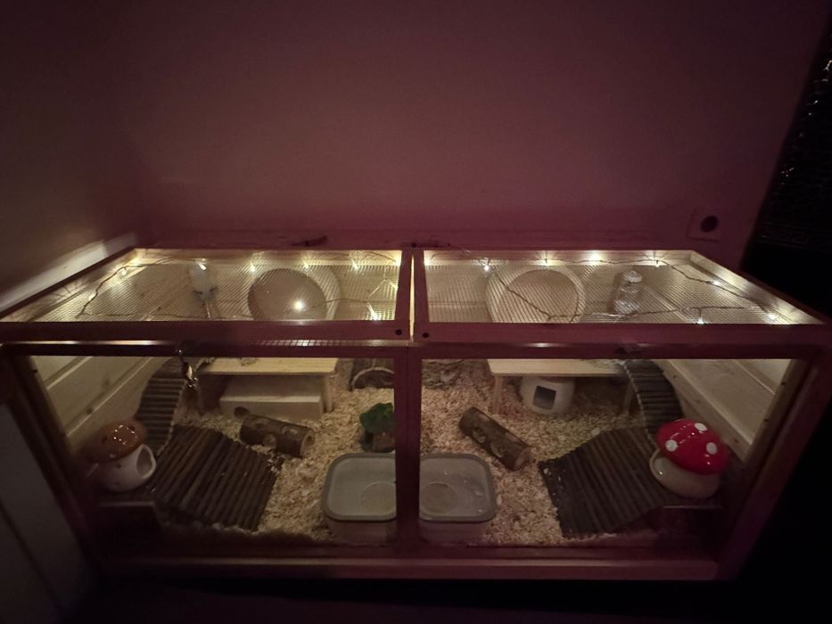 Cusca pentru hamster