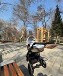 Коляска Adamex Lanti 2 в 1