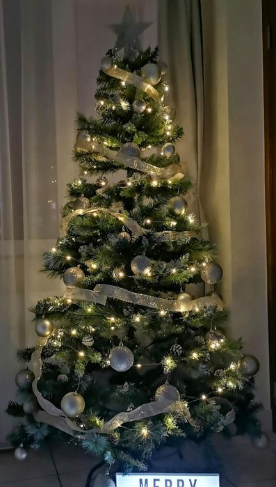 Brad artificial realist cu conuri