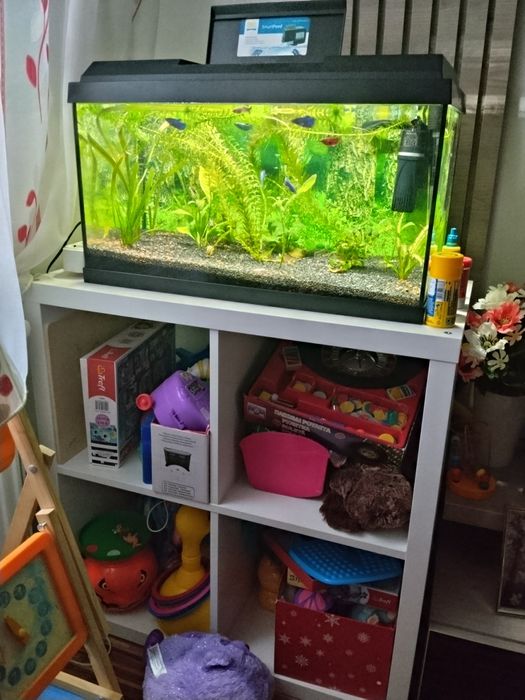 Acvariu juwell 60 l.