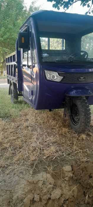 Muravey Alp motors