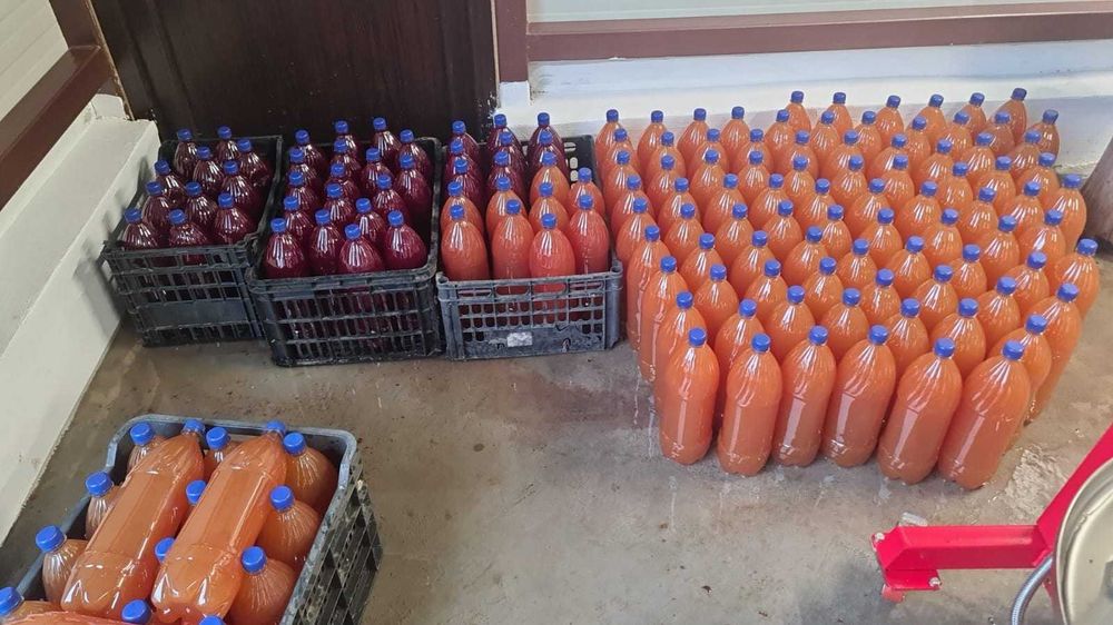 Procesam sucuri naturale din fructe și legume