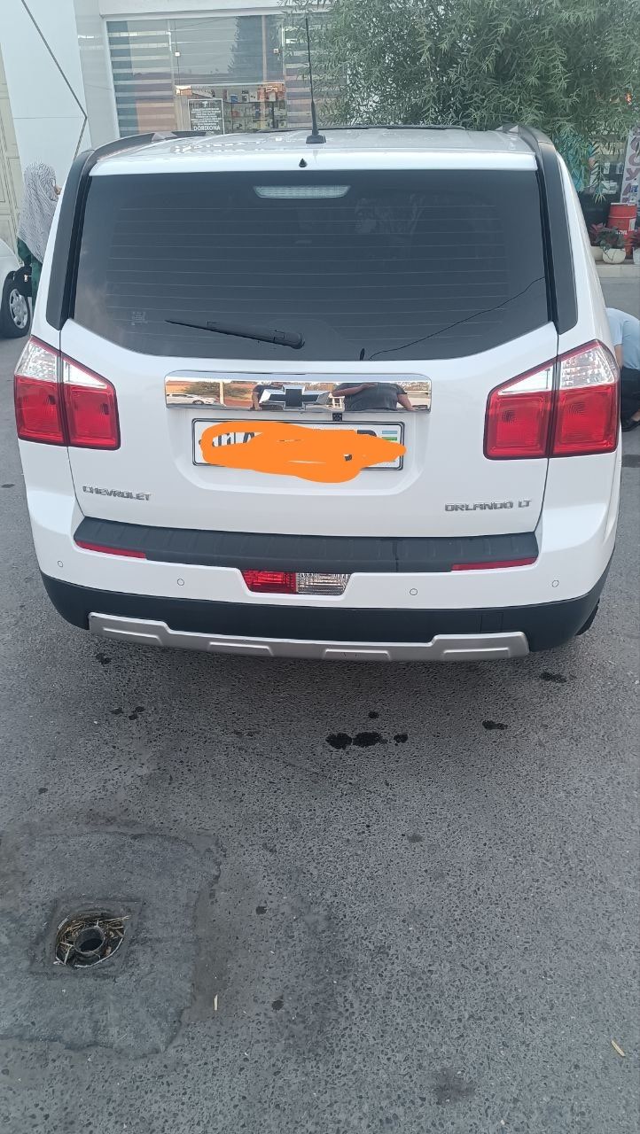 Orlando 2pazitsa lyuki bor