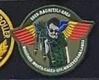 Broderie computerizata