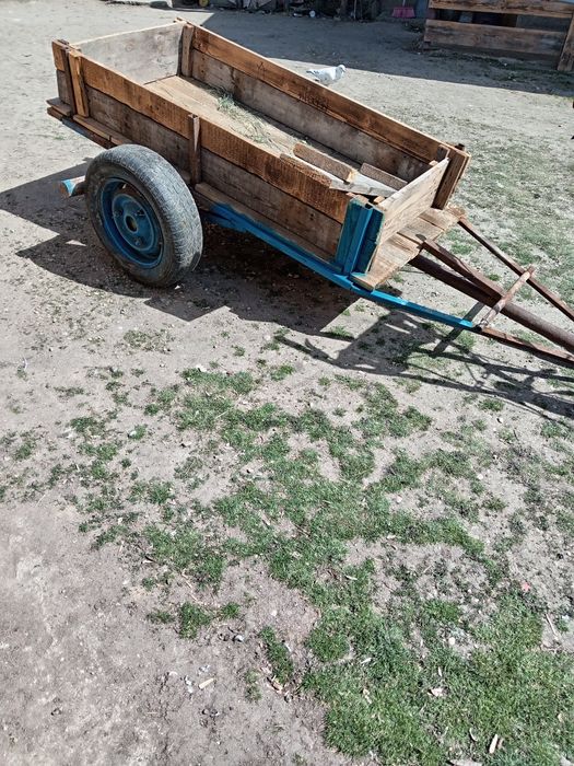 Tractoras de gradina
