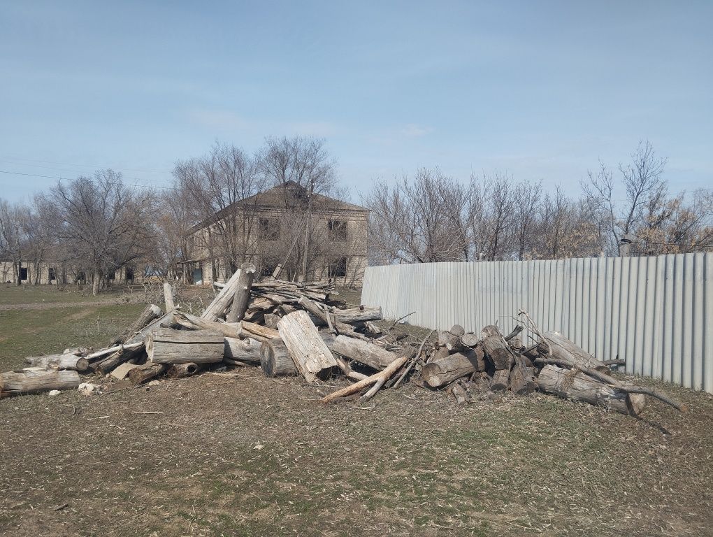 Дрова продается для бани