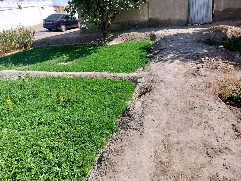 Uchastka sotiladi.narxi kelishiladi.pul zarur
