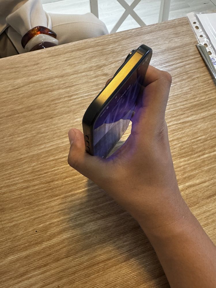 iPhone 16 Pro Max 256 GB Black Titanium