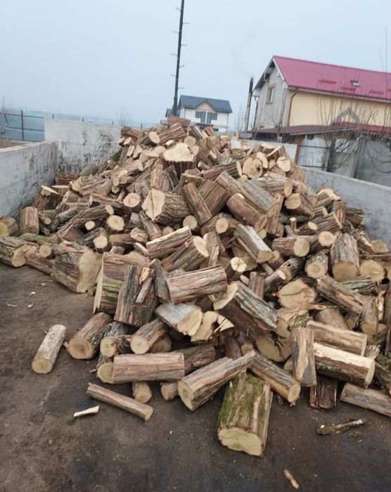 Lemne și cărbuni de foc