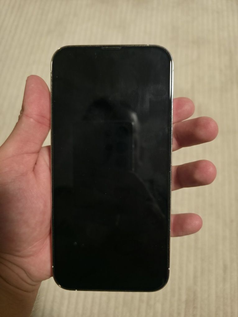 iPhone 13 Pro Max 258 GB