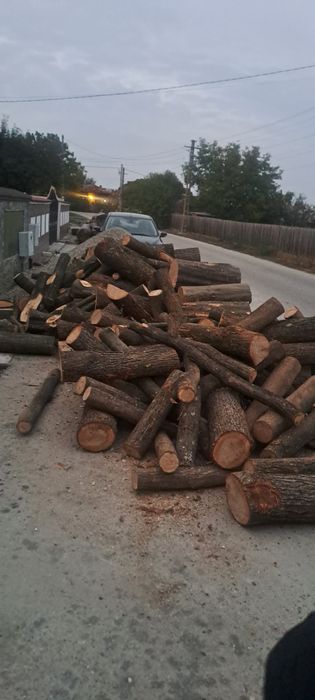 Lemne foc orice dimensiune  esențe tari