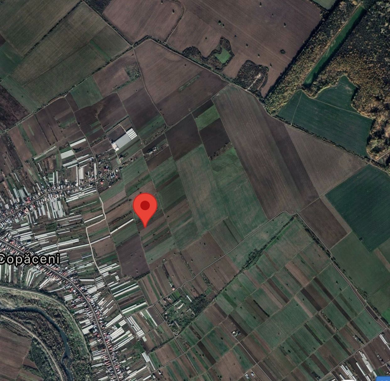 Teren intravilan com Copaceni Jud Ilfov