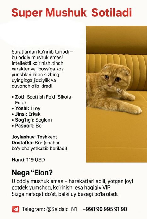 1 oy kafolat beraman soğli ga osangiz hato qilmaysis olin juda zor mus