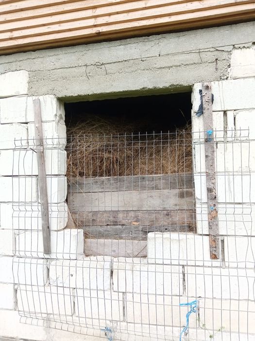 Fin de gradina de vinzare