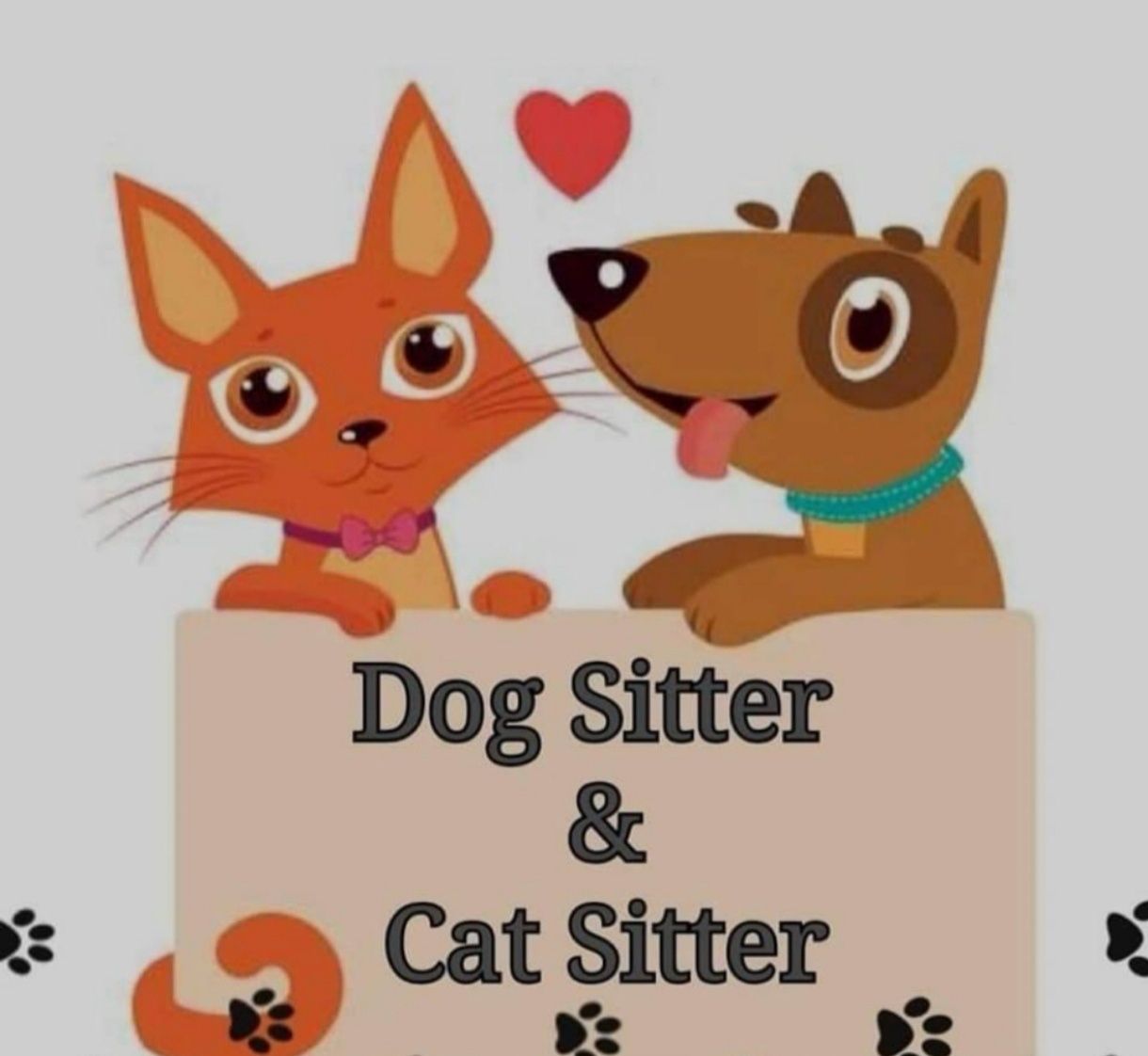 pet sitting cazare animale dogsitter catsitter