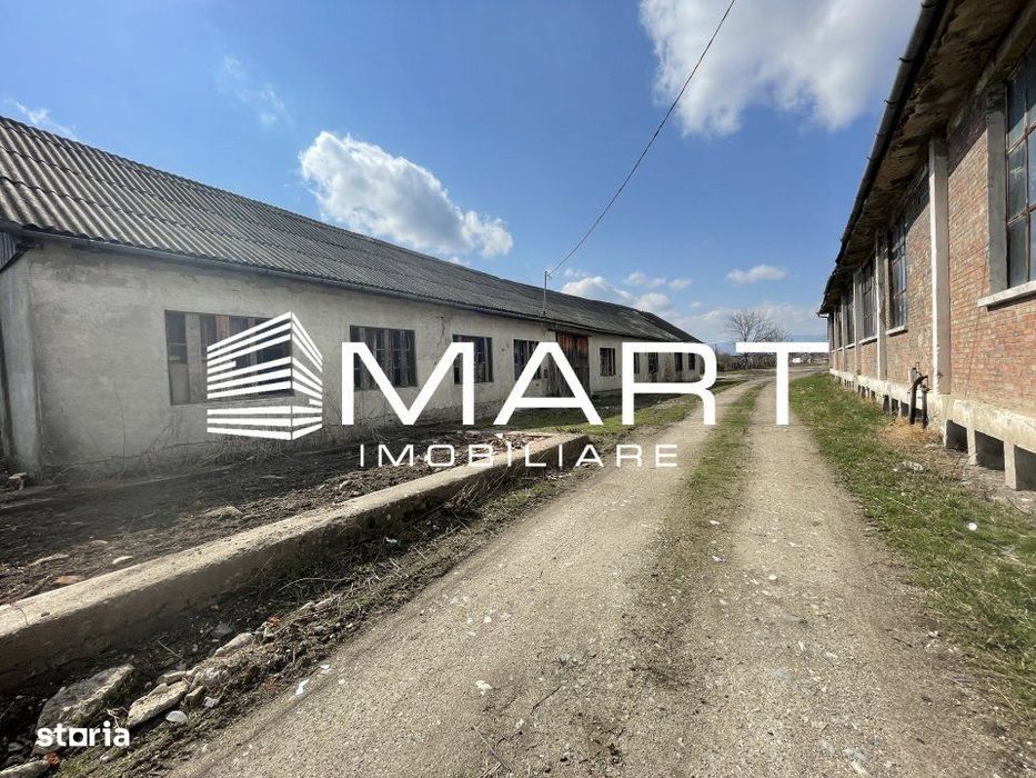 Teren intravilan 16000 mp + hale Calea Surii Mici