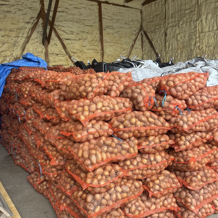 Cartofi consum alb rosu