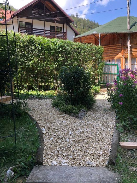 Inginer Horticol – Amenajări Curți & Grădini de la A la Z