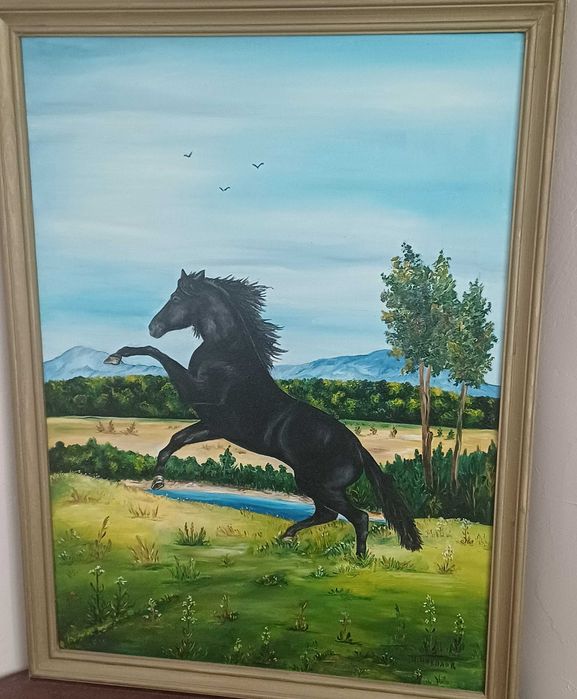 Черен мустанг край реката