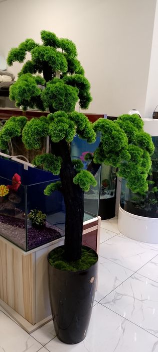 Суний дарахт ва гуллар Уй ва офисингиз учун ажойиб декоративные элемен