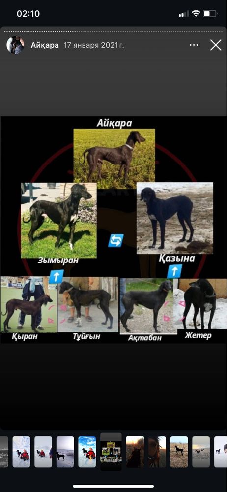 Тазы сатылады ургашы