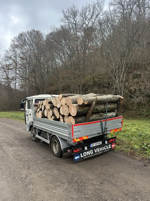 Lemne de foc esenta tare