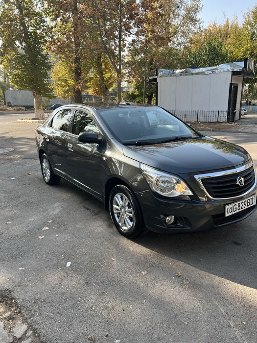 Cobalt 2022 kraska 100% toza