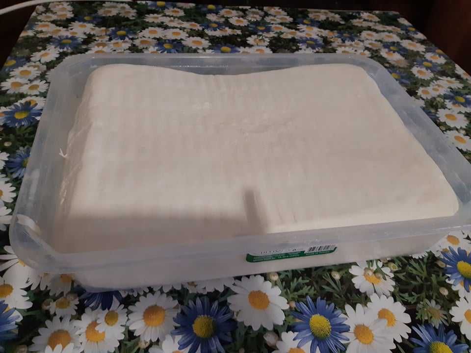 Домашно козе сирене