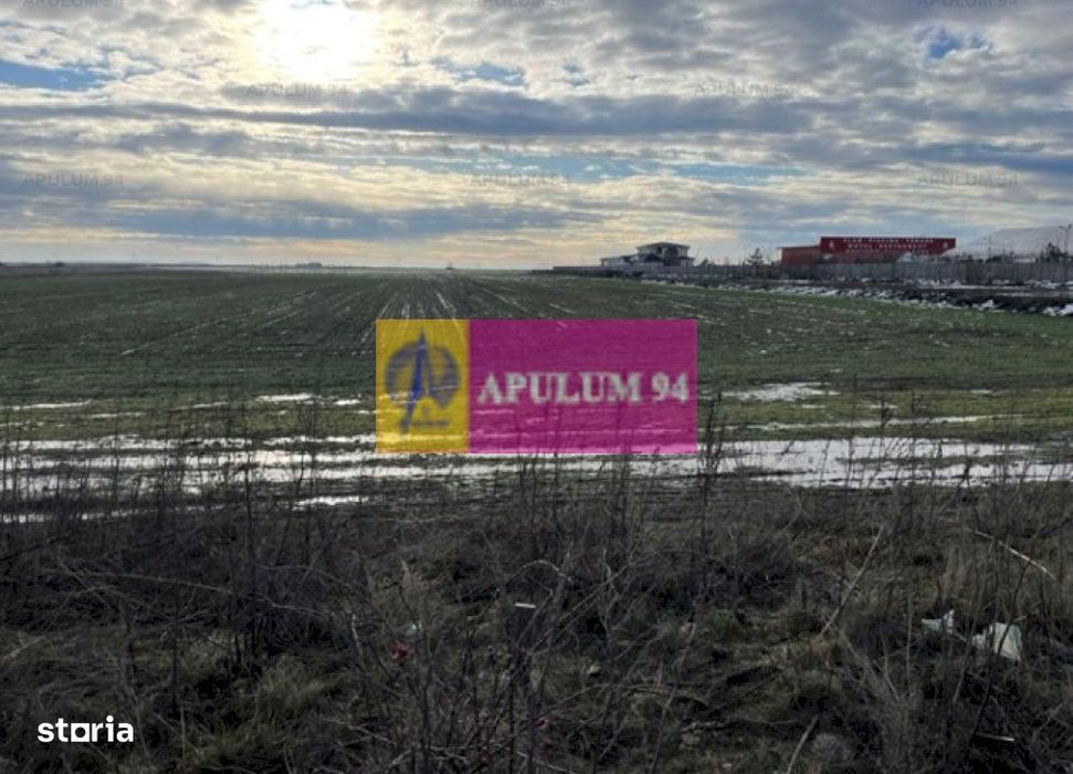 Teren Mihailesti- langa Dovinot.