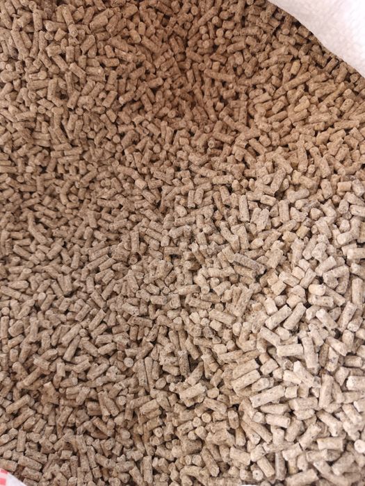 Vând cereale toate tipurile!