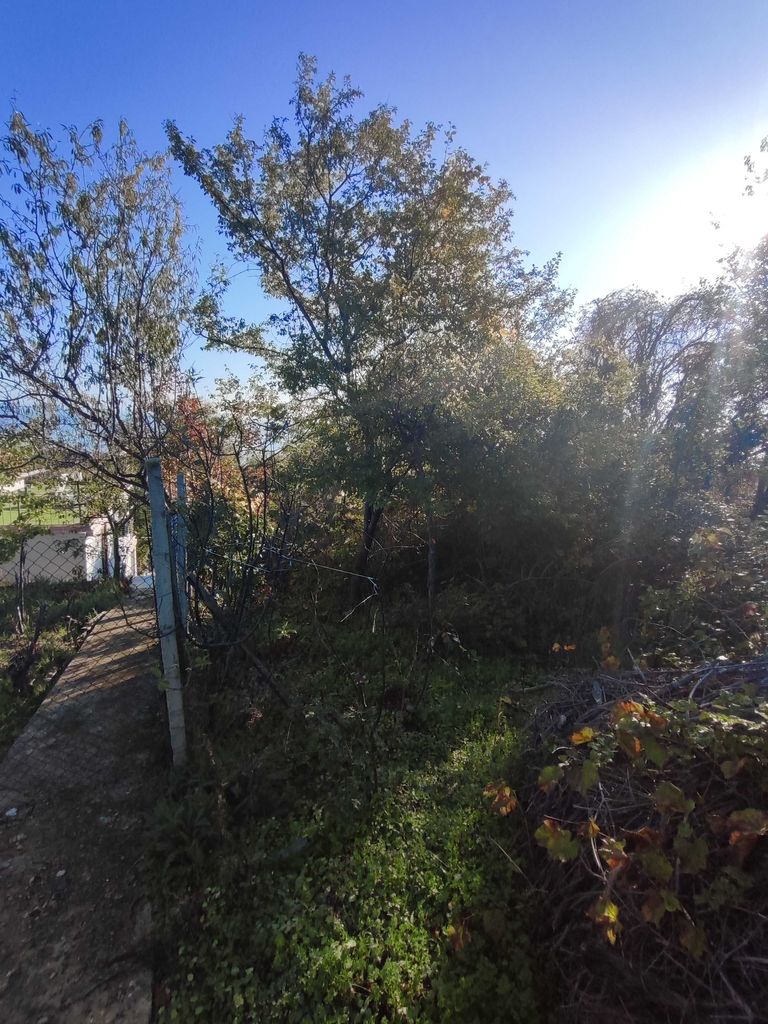 Продава се Парцел в к.к. Златни пясъци - 904 кв.м за 43 €/кв.м - Снимка #6