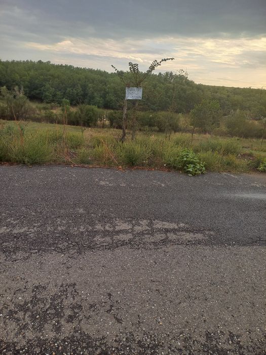 De vânzare teren extravilan zona Spineni cu o suprafață totală de 7400