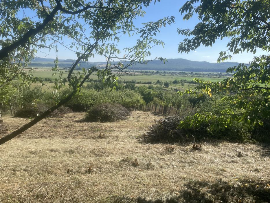 Vand teren 4361mp si cabana in Viile Cristurului- Bistrița Năsăud