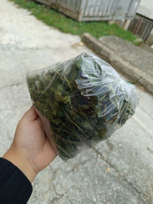 Продавам риган и жълт кантарион
